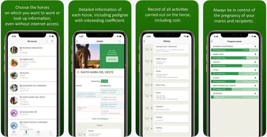 2. CRIO Online - Horse Manager